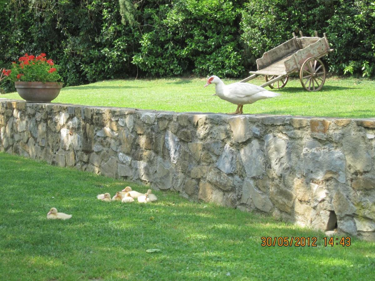 Agriturismo Conca Verde Σκαντίτσι Εξωτερικό φωτογραφία